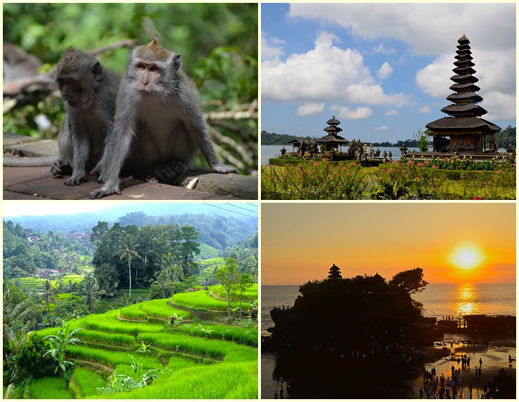Bali Exotische Tour
